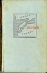 Die Hölle von Gallipoli. Cover des Buches Die Hölle von Gallipoli. (ISBN: B0018CESOI)