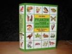 Pflanzen und Tiere in Deutschland - Großer illustrierter Naturführer Cover des Buches Pflanzen und Tiere in Deutschland - Großer illustrierter Naturführer (ISBN: B0028XM9BA)