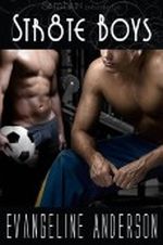 Str8te Boys Cover des Buches Str8te Boys (ISBN: B002DOSBOS)
