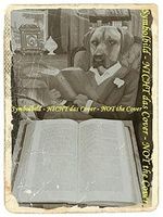 Lieber kleiner Esel Cover des Buches Lieber kleiner Esel (ISBN: B00539AX1Y)