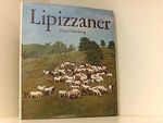 Lipizzaner Cover des Buches Lipizzaner (ISBN: B006CM7LWU)