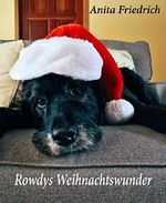 Rowdys Weihnachtswunder (Tiergeschichten) Cover des Buches Rowdys Weihnachtswunder (Tiergeschichten) (ISBN: B006NKELXI)