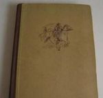 Der Sohn des Regiments Cover des Buches Der Sohn des Regiments (ISBN: B007DZIQIS)