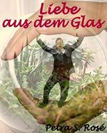 Liebe aus dem Glas Cover des Buches Liebe aus dem Glas (ISBN: B0100WULVA)