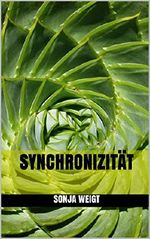 Synchronizität Cover des Buches Synchronizität (ISBN: B016E3CUTA)