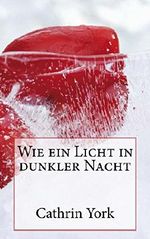Wie ein Licht in dunkler Nacht Cover des Buches Wie ein Licht in dunkler Nacht (ISBN: B0194DQTIK)