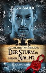 Der Sturm in meiner Nacht: Geschichten aus Neygara Cover des Buches Der Sturm in meiner Nacht: Geschichten aus Neygara (ISBN: B077T9XZSZ)