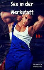 Sex in der Werkstatt: Heiße Gaystory Cover des Buches Sex in der Werkstatt: Heiße Gaystory (ISBN: B079YRTGVZ)