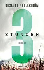 Drei Stunden: Thriller (Piet Hoffmann 3) Cover des Buches Drei Stunden: Thriller (Piet Hoffmann 3) (ISBN: B07C3W4SKB)