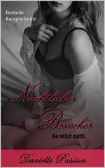 Nächtlicher Besucher: Du willst mich! Cover des Buches Nächtlicher Besucher: Du willst mich! (ISBN: B07DY9JVQV)