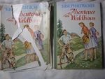 Abenteuer im Waldhaus Cover des Buches Abenteuer im Waldhaus (ISBN: B07L7W226N)