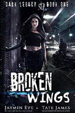 Broken Wings (Dark Legacy Book 1) Cover des Buches Broken Wings (Dark Legacy Book 1) (ISBN: B07NS2GNJN)