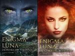 Enigma Luna (Reihe in 2 Bänden) Cover des Buches Enigma Luna (Reihe in 2 Bänden) (ISBN: B07QWV5R3H)