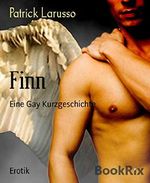 Finn: Eine Gay Kurzgeschichte Cover des Buches Finn: Eine Gay Kurzgeschichte (ISBN: B07ZGKTZ4W)