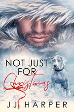 Not Just For Christmas (English Edition) Cover des Buches Not Just For Christmas (English Edition) (ISBN: B09L1PKCX6)