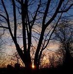 Anders Sein Cover des Buches Anders Sein (ISBN: B09XSMGPF6)