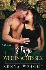 12 Tage Weihnachtssex Cover des Buches 12 Tage Weihnachtssex (ISBN: B0CN9VM295)