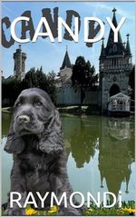 CANDY Cover des Buches CANDY (ISBN: B0D7D2FX57)