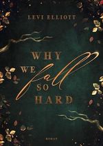 Why We Fall So Hard (Sad End queer Romance) Cover des Buches Why We Fall So Hard (Sad End queer Romance) (ISBN: B0DCKD7SFX)