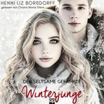 Der seltsame Gefährte: Winterjunge - Band 2 Cover des Buches Der seltsame Gefährte: Winterjunge - Band 2 (ISBN: B0DQ8KV8RF)