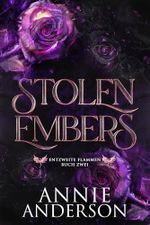 Stolen Embers (Entzweite Flammen 2) Cover des Buches Stolen Embers (Entzweite Flammen 2) (ISBN: B0F2SJQ1V9)