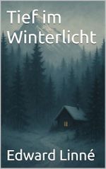 Tief im Winterlicht Cover des Buches Tief im Winterlicht (ISBN: B0FHKNYM4P)