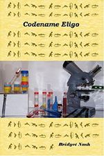 Codename ELIGO Cover des Buches Codename ELIGO (ISBN: B00T4WMYY0)