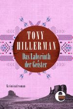 Das Labyrinth der Geister Cover des Buches Das Labyrinth der Geister (ISBN: 9783955306748)