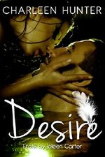 Desire: Erotischer Liebesroman Cover des Buches Desire: Erotischer Liebesroman (ISBN: B00SDX839Q)