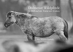 Dülmener Wildpferde: ein Bildband mit Texten von Kindern Cover des Buches Dülmener Wildpferde: ein Bildband mit Texten von Kindern (ISBN: 9783735729606)