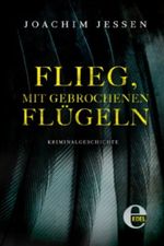 Flieg, mit gebrochenen Flügeln Cover des Buches Flieg, mit gebrochenen Flügeln (ISBN: 9783955300722)