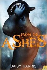 From the Ashes (Fire and Rain) Cover des Buches From the Ashes (Fire and Rain) (ISBN: 9781619217980)