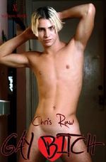 Gay Bitch Cover des Buches Gay Bitch (ISBN: 9783944672359)