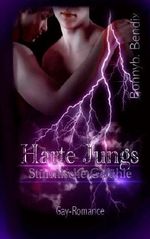 Harte Jungs: Stürmische Gefühle Cover des Buches Harte Jungs: Stürmische Gefühle (ISBN: 9781493719334)