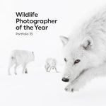 Portfolio: Volume 35 (Wildlife Photographer of the Year, 35) Cover des Buches Portfolio: Volume 35 (Wildlife Photographer of the Year, 35) (ISBN: 9780565095727)