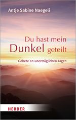 Du hast mein Dunkel geteilt Cover des Buches Du hast mein Dunkel geteilt (ISBN: 9783451031854)