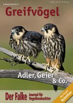 Der Falke - Sonderheft Greifvögel Cover des Buches Der Falke - Sonderheft Greifvögel (ISBN: 9783891047484)