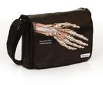 PROMETHEUS LernPaket Anatomie Cover des Buches PROMETHEUS LernPaket Anatomie (ISBN: 9783131601858)