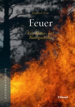 Feuer Cover des Buches Feuer (ISBN: 9783258084114)