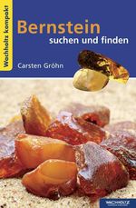 Bernstein suchen und finden KOMPAKT Cover des Buches Bernstein suchen und finden KOMPAKT (ISBN: 9783529092671)
