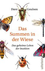 Das Summen in der Wiese Cover des Buches Das Summen in der Wiese (ISBN: 9783548377506)