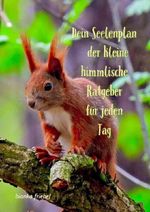 Dein Seelenplan - der kleine himmlische Ratgeber für jeden Tag Cover des Buches Dein Seelenplan - der kleine himmlische Ratgeber für jeden Tag (ISBN: 9783565145010)