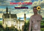 Romantische Poesie Cover des Buches Romantische Poesie (ISBN: 9783565265053)