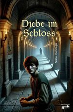 Diebe im Schloss Cover des Buches Diebe im Schloss (ISBN: 9783565433148)