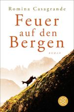 Feuer auf den Bergen Cover des Buches Feuer auf den Bergen (ISBN: 9783596700578)
