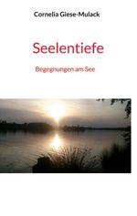 Seelentiefe Cover des Buches Seelentiefe (ISBN: 9783695127528)