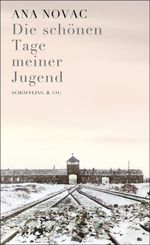Die schönen Tage meiner Jugend Cover des Buches Die schönen Tage meiner Jugend (ISBN: 9783731761327)