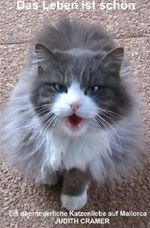 Das Leben ist schön: Eine abenteuerliche Katzenliebe auf Mallorca Cover des Buches Das Leben ist schön: Eine abenteuerliche Katzenliebe auf Mallorca (ISBN: 9783741856907)