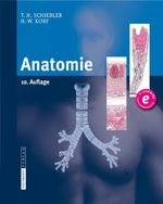 Anatomie Cover des Buches Anatomie (ISBN: 9783798517707)