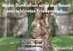 In der Dunkelheit sind der Baum sein schönstes Friedenslied... Cover des Buches In der Dunkelheit sind der Baum sein schönstes Friedenslied... (ISBN: 9783818756345)